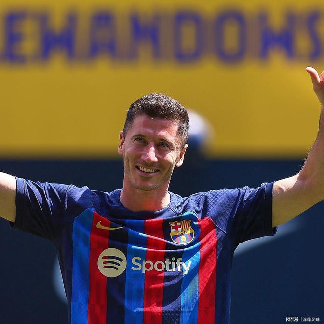 开云入口-法国队带队取胜！，莱万多夫斯基重要时刻战术调整全场沸腾不已的简单介绍